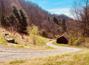 about-the-holler