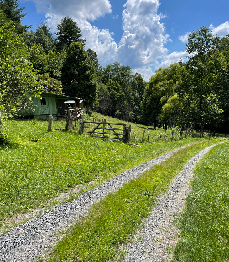 the holler five year plan